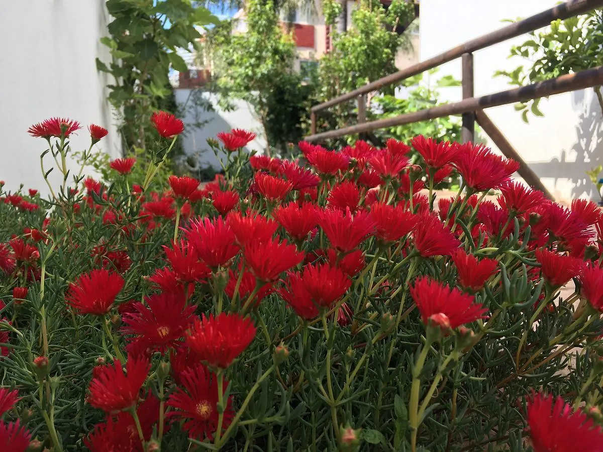 Pixel Hotel Torremolinos Guest house